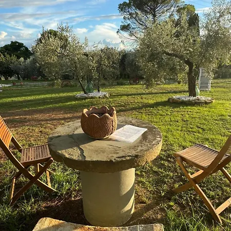 Tramonto In Chianti *